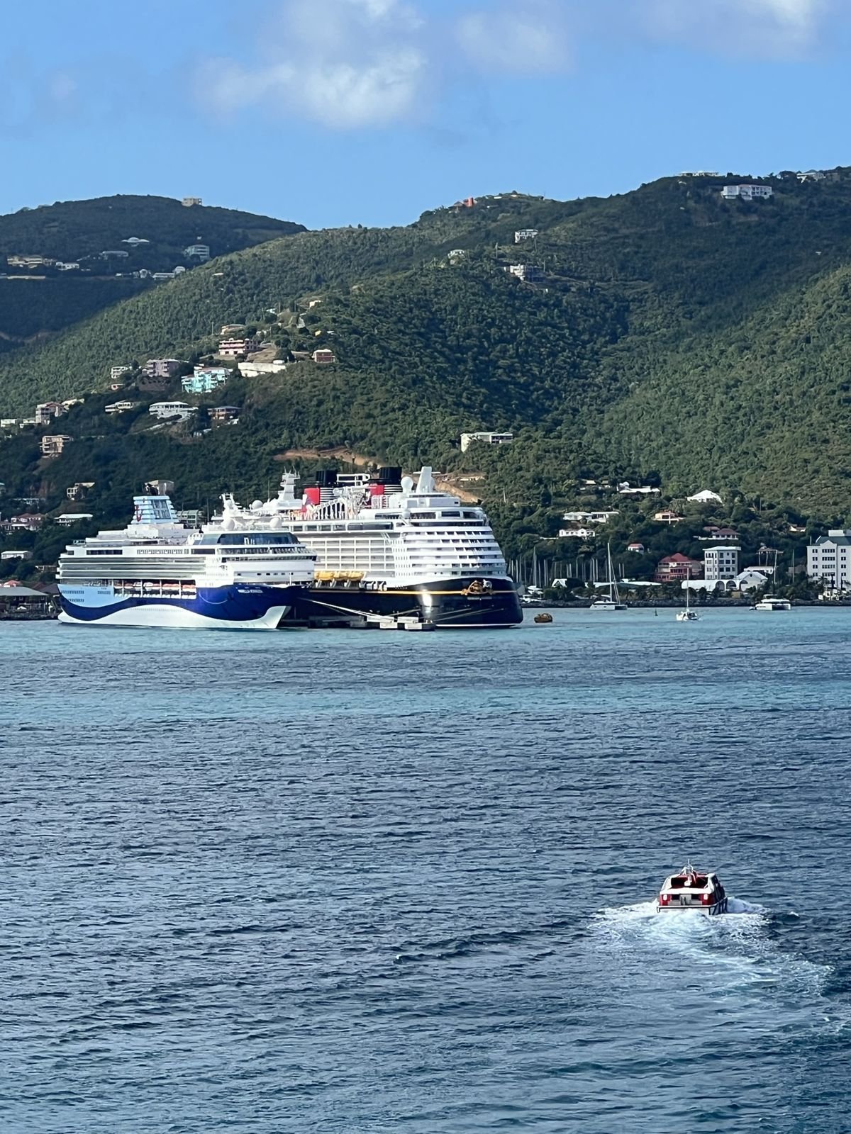 Two cruise ships at anchor below green hills, with a tender boat heading out